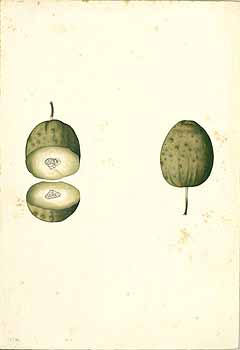 no HD illustration available (4)