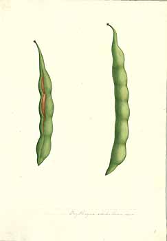 no HD illustration available (4)