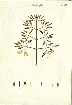 no HD illustration available (4)