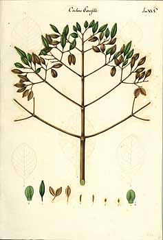 no HD illustration available (4)