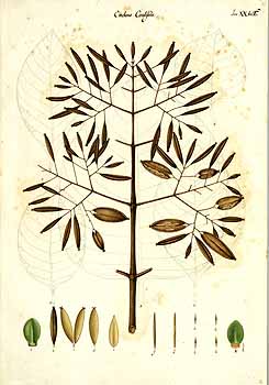 no HD illustration available (4)