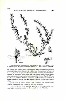 no HD illustration available (4)