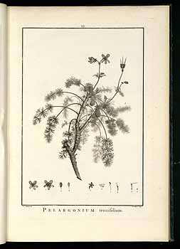 no HD illustration available (4)