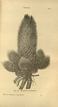 no HD illustration available (4)