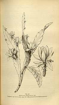 no HD illustration available (4)