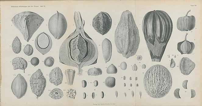 no HD illustration available (4)