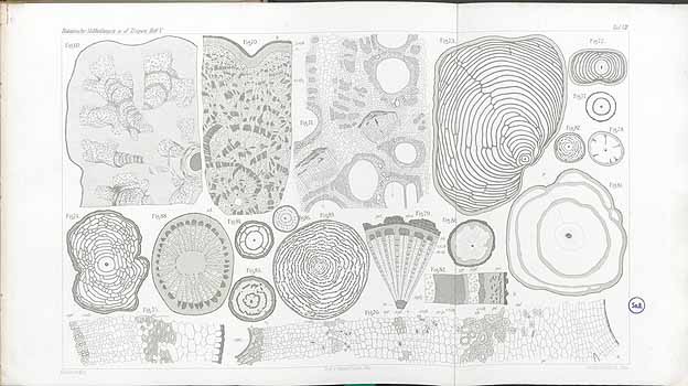 no HD illustration available (4)