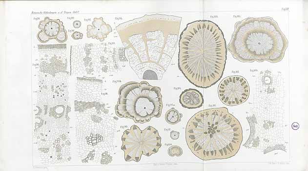 no HD illustration available (4)