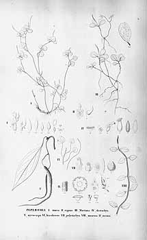 no HD illustration available (4)