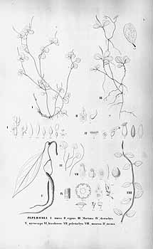 no HD illustration available (4)