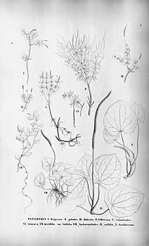 no HD illustration available (4)