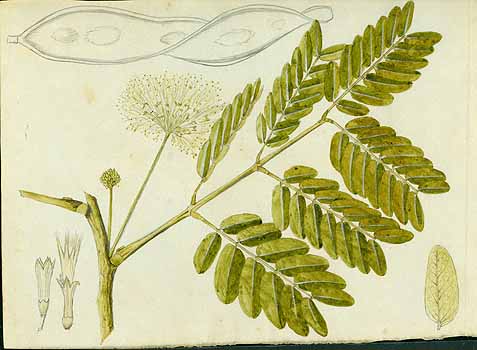 no HD illustration available (5) 