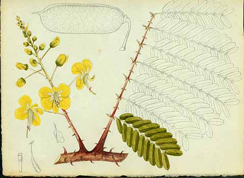 no HD illustration available (5) 