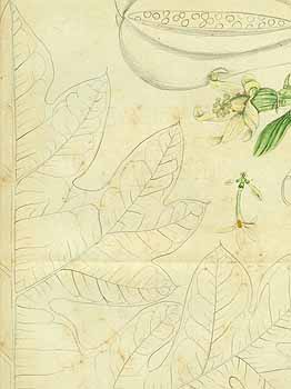 no HD illustration available (5) 