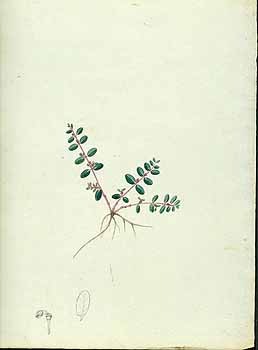 no HD illustration available (5) 