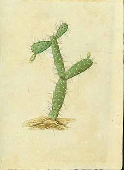 no HD illustration available (5) 