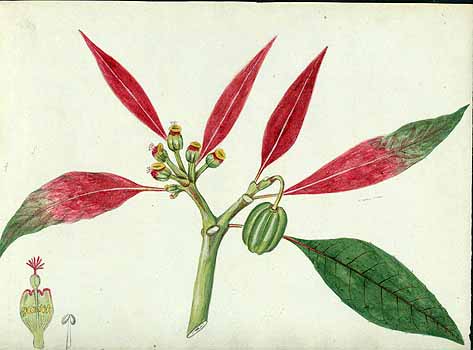 no HD illustration available (5) 