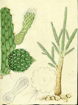 no HD illustration available (5) 