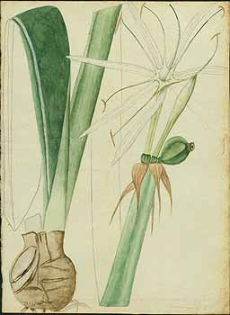 no HD illustration available (5) 