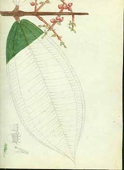 no HD illustration available (5) 