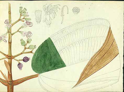 no HD illustration available (5) 