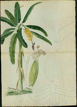 no HD illustration available (5) 