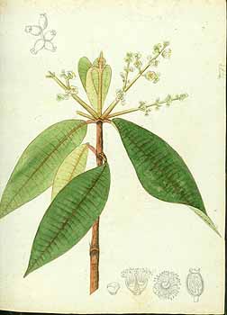 no HD illustration available (5) 