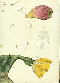 no HD illustration available (5) 