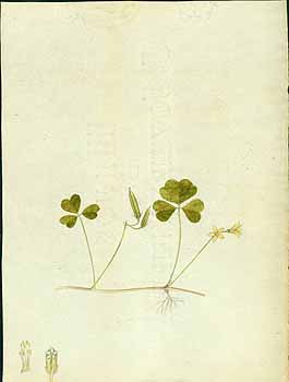 no HD illustration available (5) 