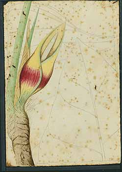 no HD illustration available (5) 