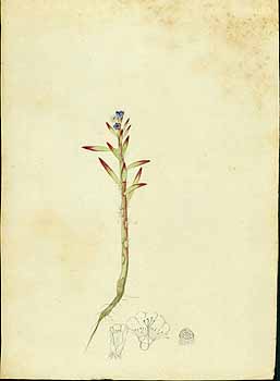 no HD illustration available (5) 