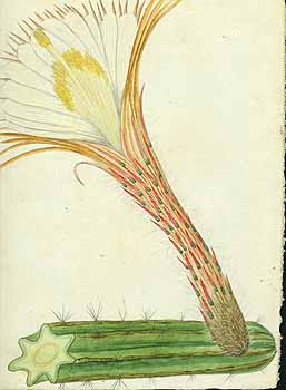 no HD illustration available (5) 