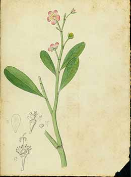 no HD illustration available (5) 