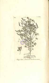 no HD illustration available (4)