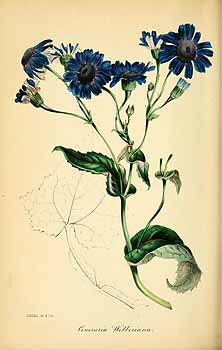 no HD illustration available (4)