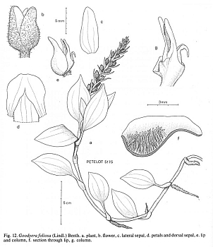 no HD illustration available (4)