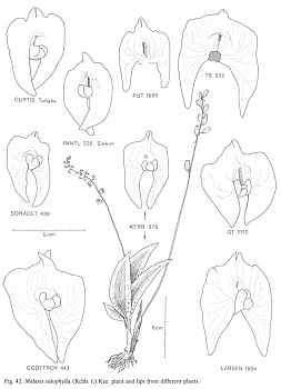 no HD illustration available (4)