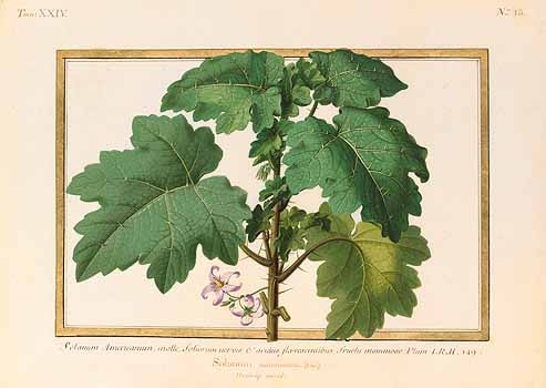 no HD illustration available (4)