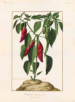 no HD illustration available (4)