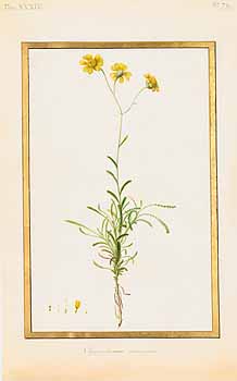 no HD illustration available (4)