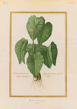 no HD illustration available (4)