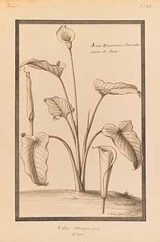 no HD illustration available (4)