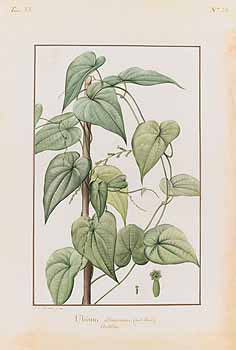 no HD illustration available (4)