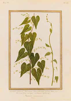 no HD illustration available (4)