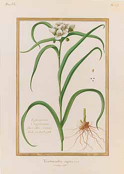 no HD illustration available (4)