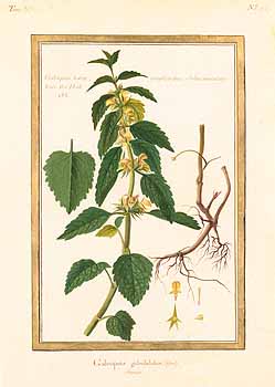 no HD illustration available (4)