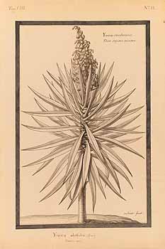 no HD illustration available (4)