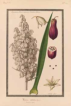 no HD illustration available (4)