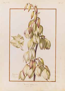 no HD illustration available (4)