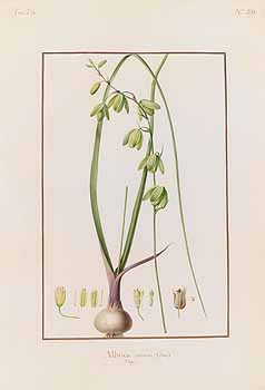 no HD illustration available (4)